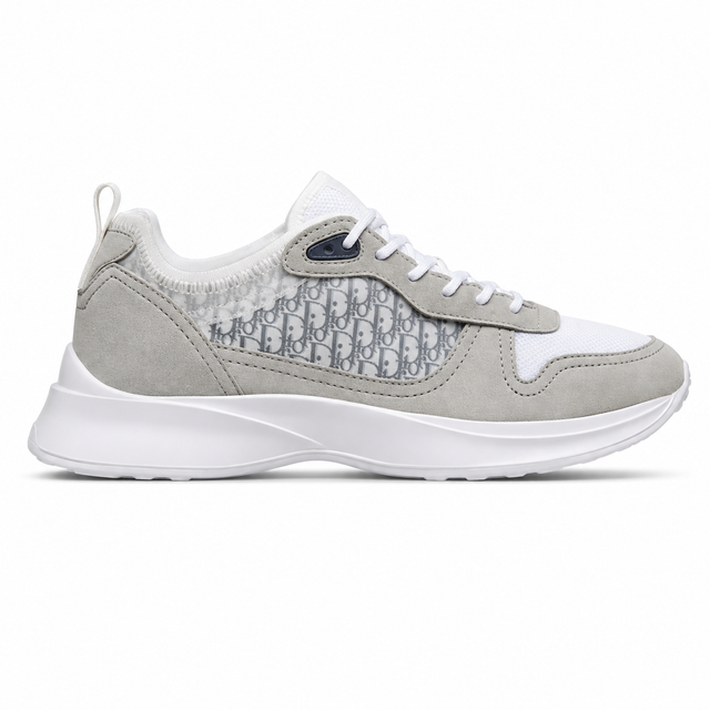 Dior B25 Grey
